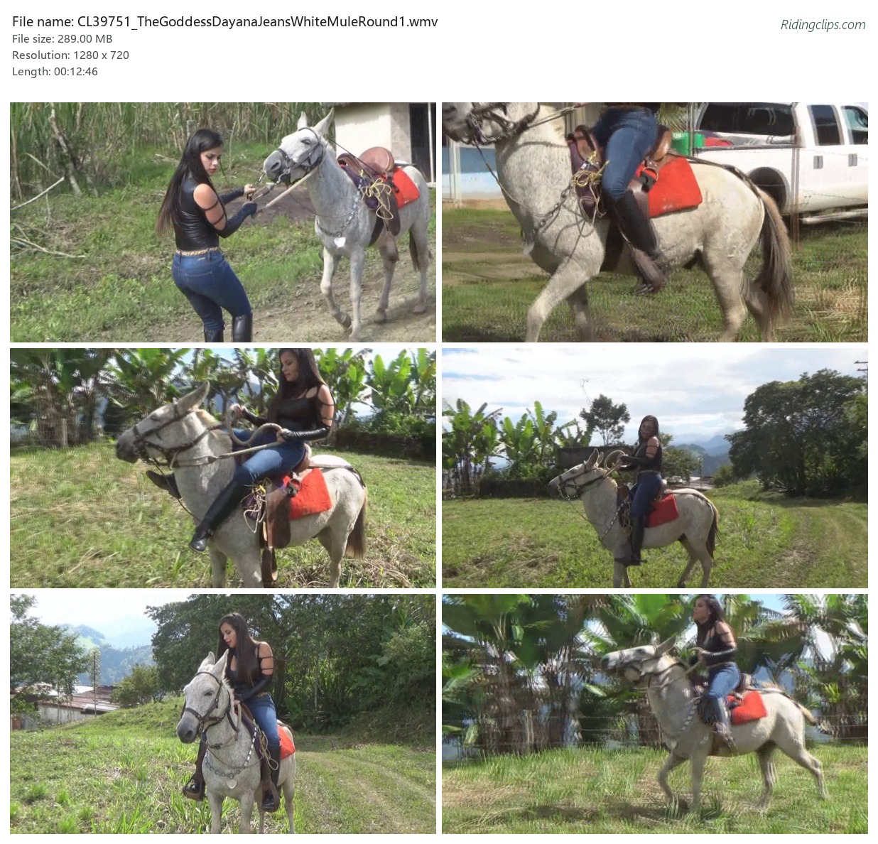 CL39751_TheGoddessDayanaJeansWhiteMuleRound1.wmv_2x3.jpg