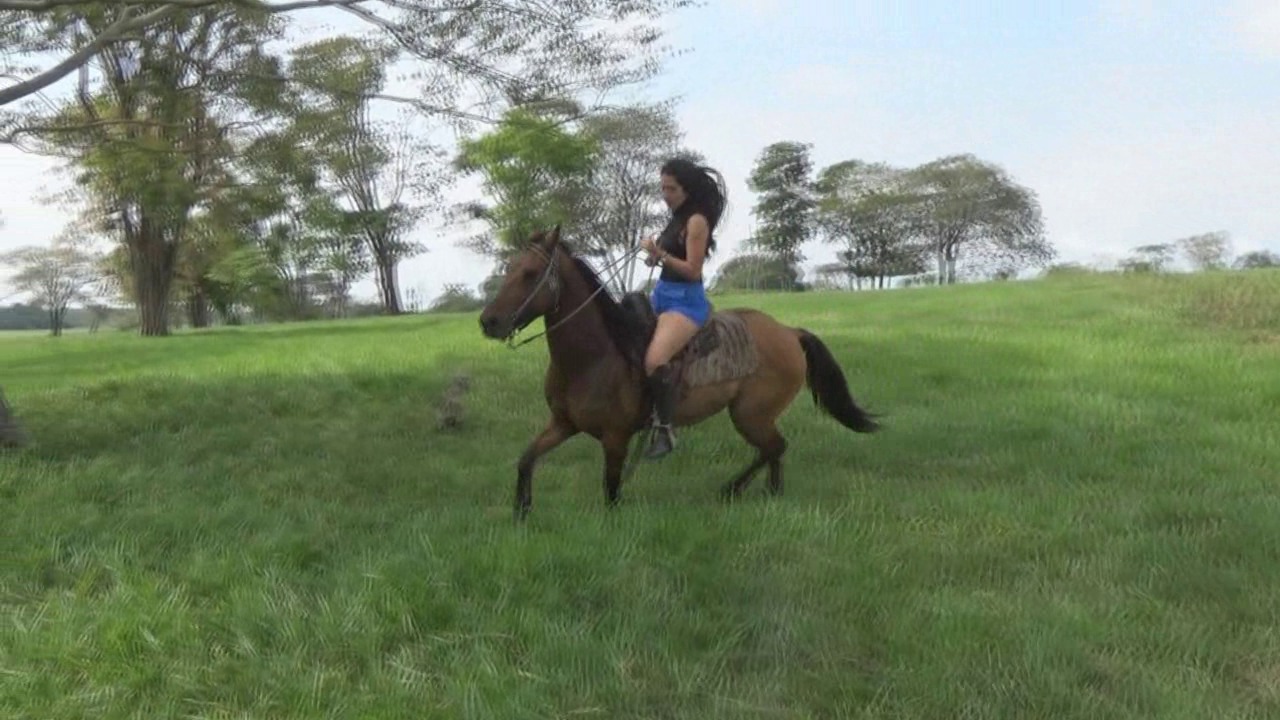 CL39751_TheMaid indiana BlueShortsPrincipe.wmv_random_01.jpg