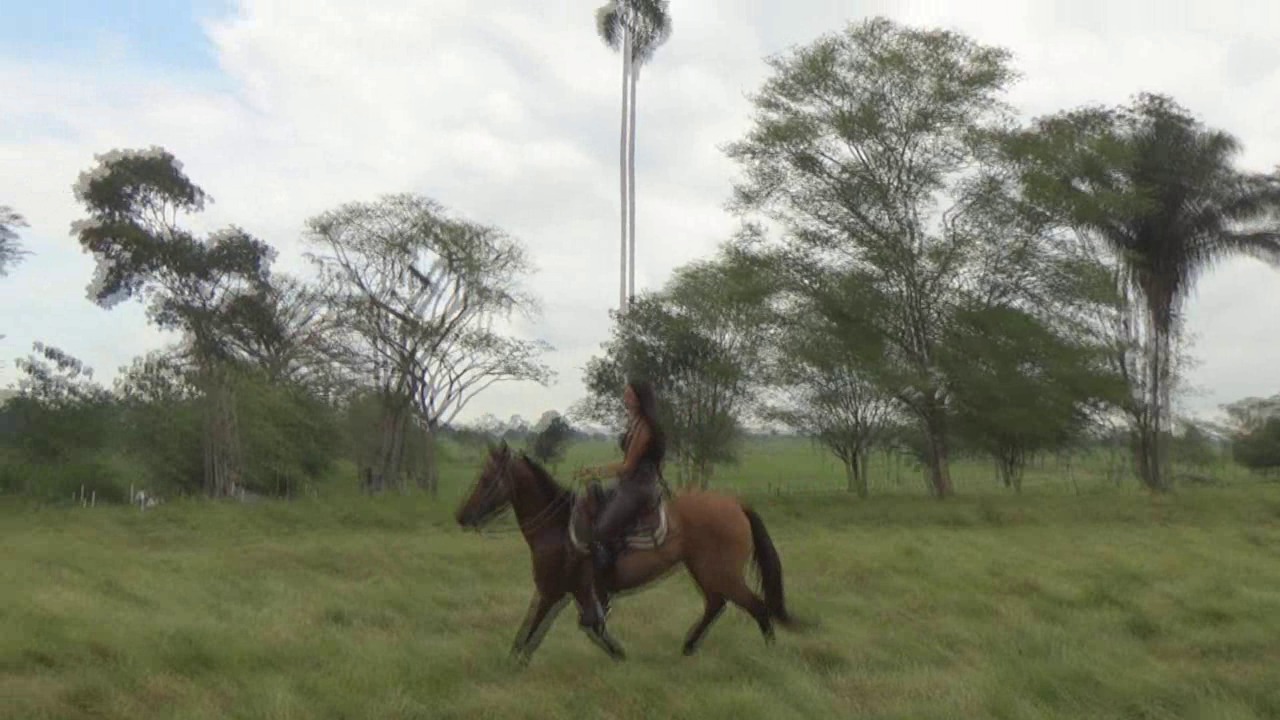 CL39751_TheMaidIndianaDoubleRide.wmv_random_01.jpg