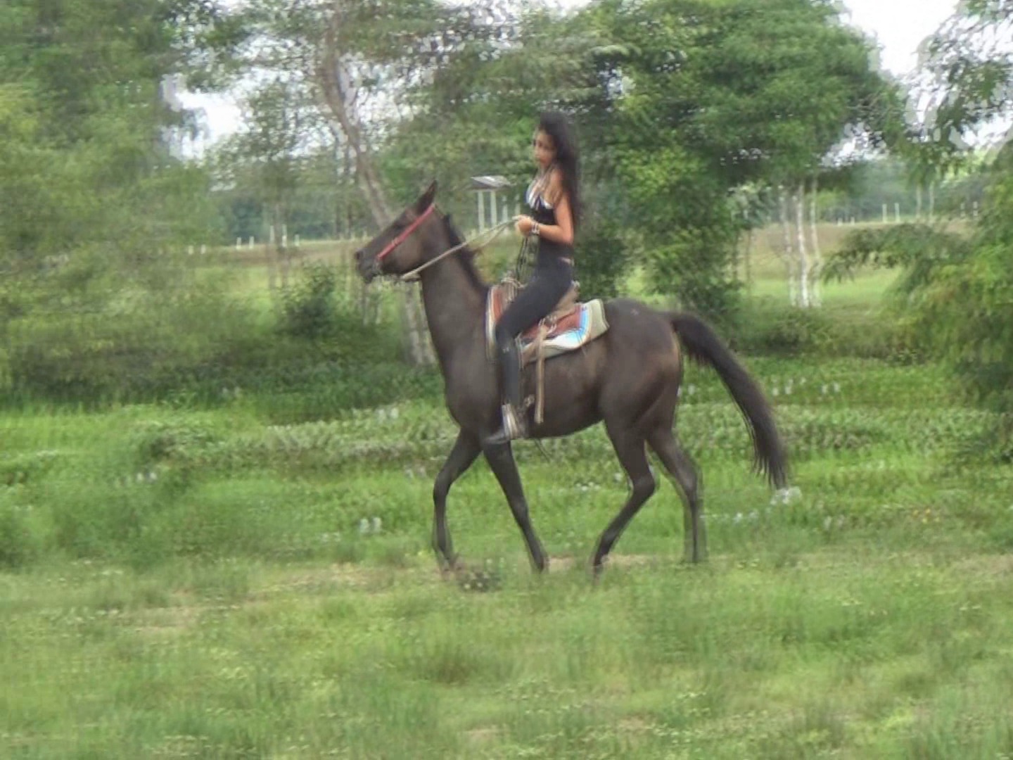 CL39751_TheMaidIndianaFirstSpurs.wmv_random_01.jpg