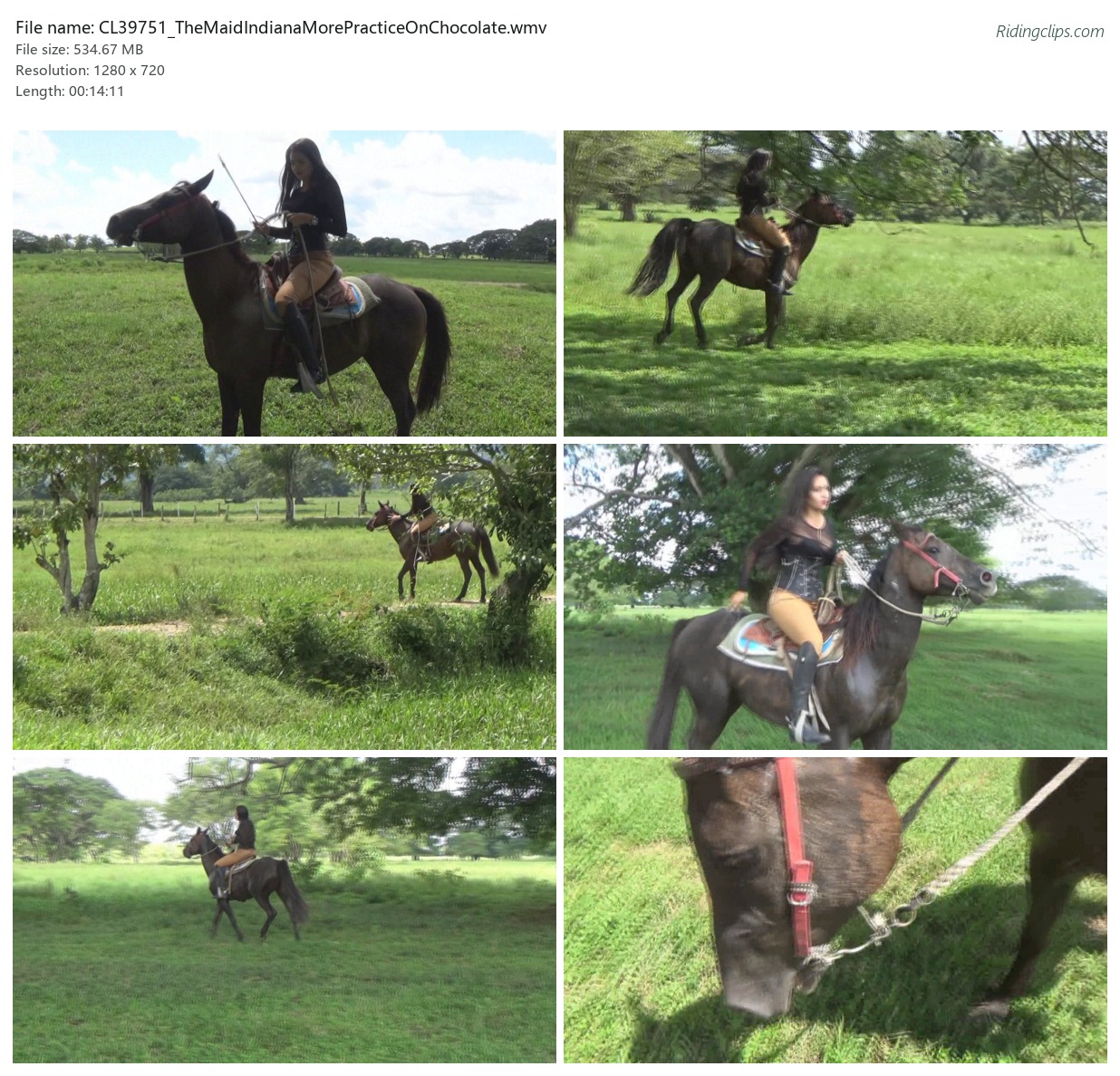 CL39751_TheMaidIndianaMorePracticeOnChocolate.wmv_2x3.jpg