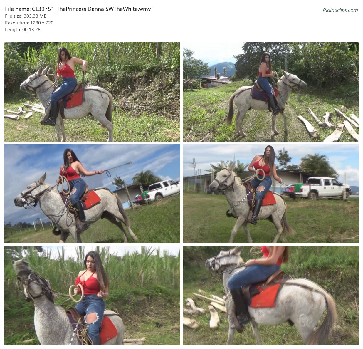 CL39751_ThePrincess Danna SWTheWhite.wmv_2x3.jpg