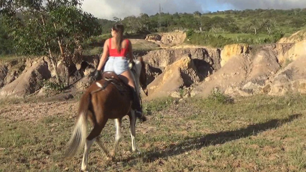 CL39751 ThePrincessDannaFinalRide.wmv