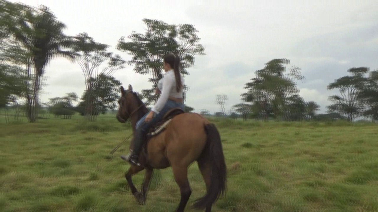 CL39751_ThePrincessDannaPointedSpursForPrincipe.wmv_random_01.jpg