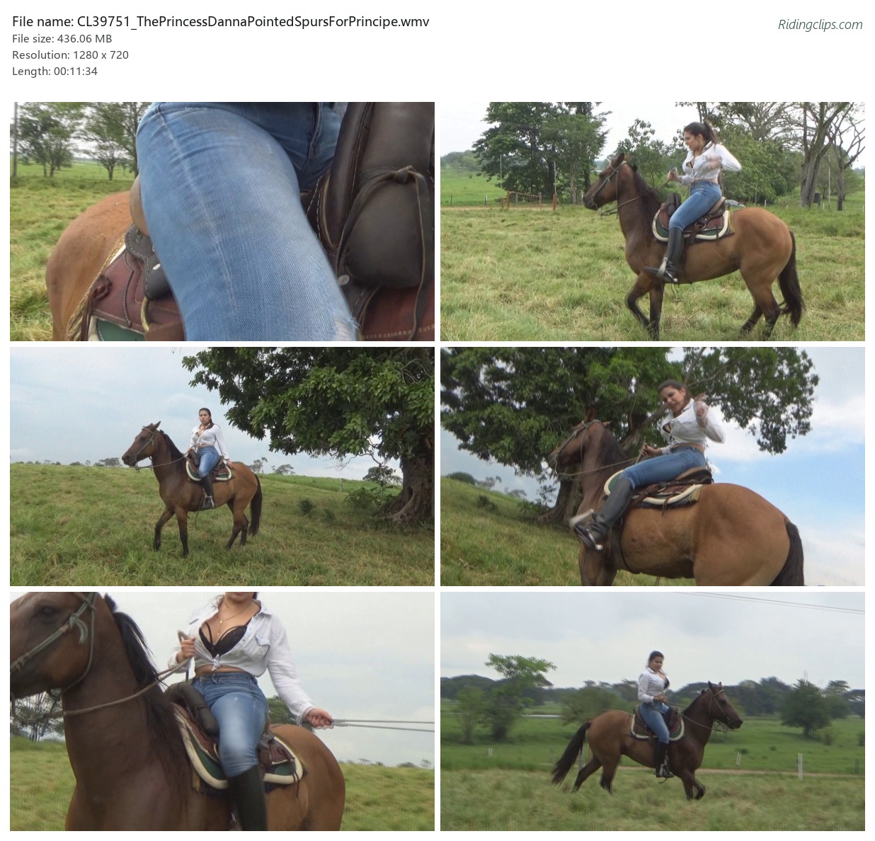 CL39751_ThePrincessDannaPointedSpursForPrincipe.wmv_2x3.jpg