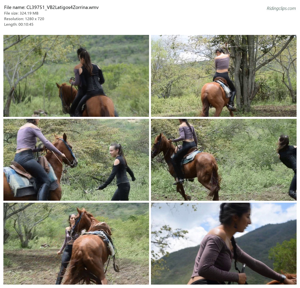 CL39751_VB2Latigos4Zorrina.wmv_2x3.jpg
