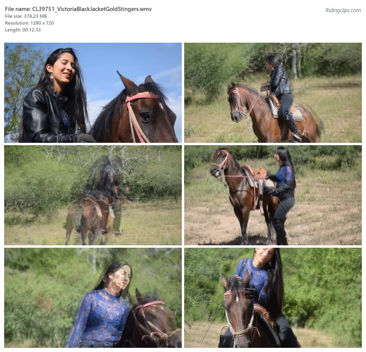 CL39751_VictoriaBlackJacketGoldStingers.wmv_2x3.jpg