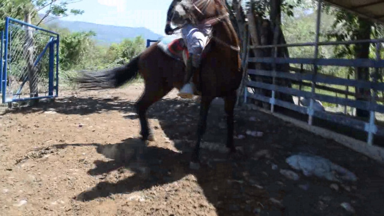 CL39751_VictoriaSkirtStars4Canela.wmv_random_01.jpg