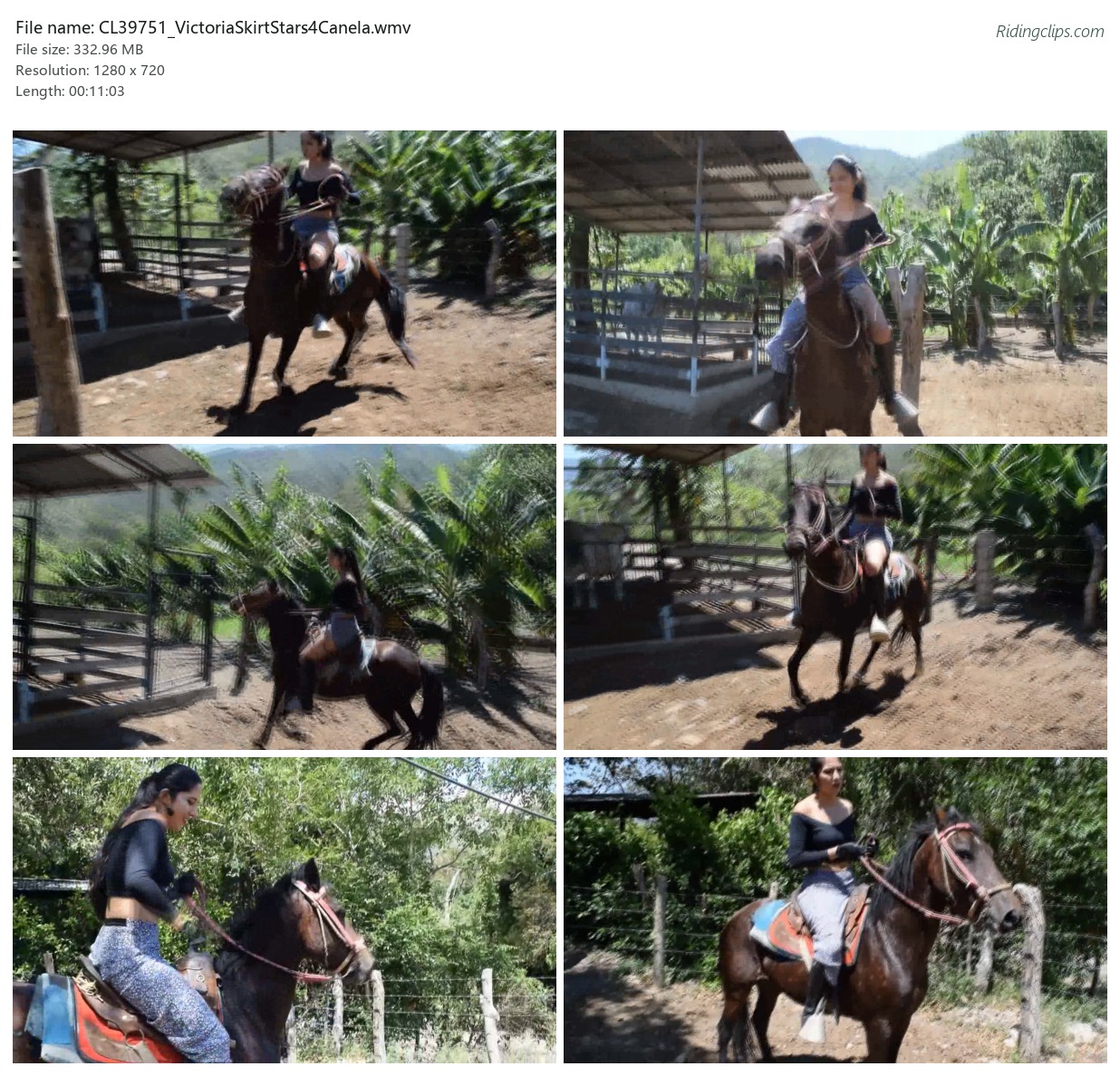 CL39751_VictoriaSkirtStars4Canela.wmv_2x3.jpg