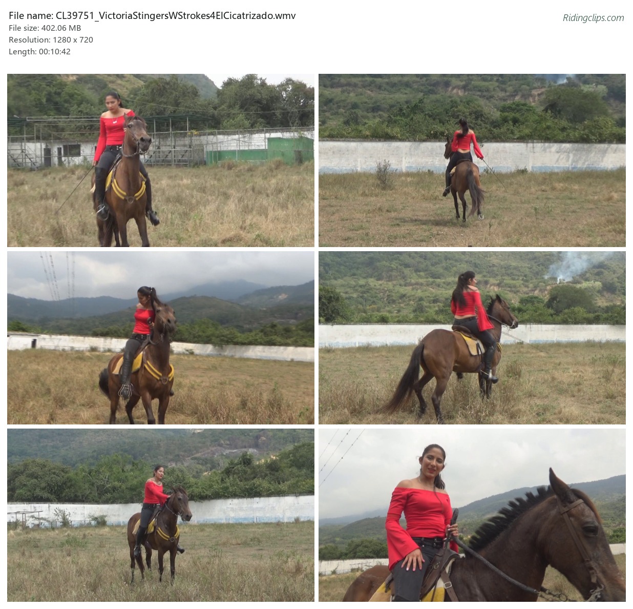 CL39751_VictoriaStingersWStrokes4ElCicatrizado.wmv_2x3.jpg