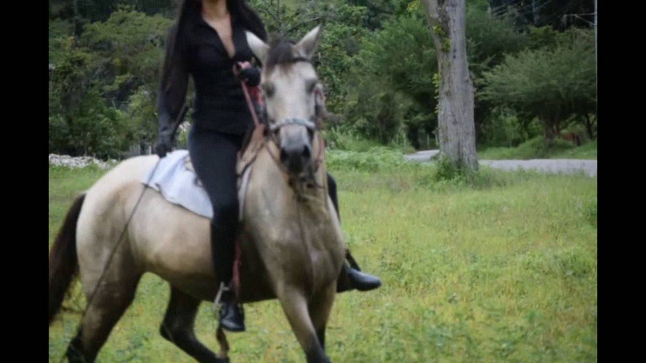 CL39751_VictoriaVsSpiritito.wmv_random_01.jpg
