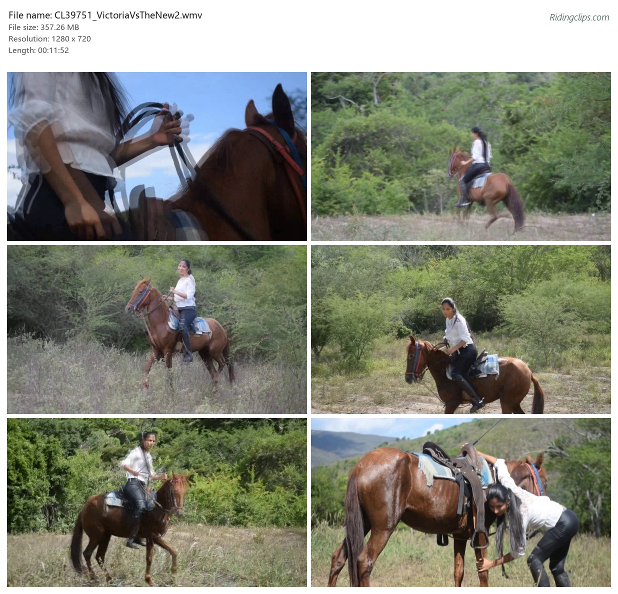 CL39751_VictoriaVsTheNew2.wmv_2x3.jpg