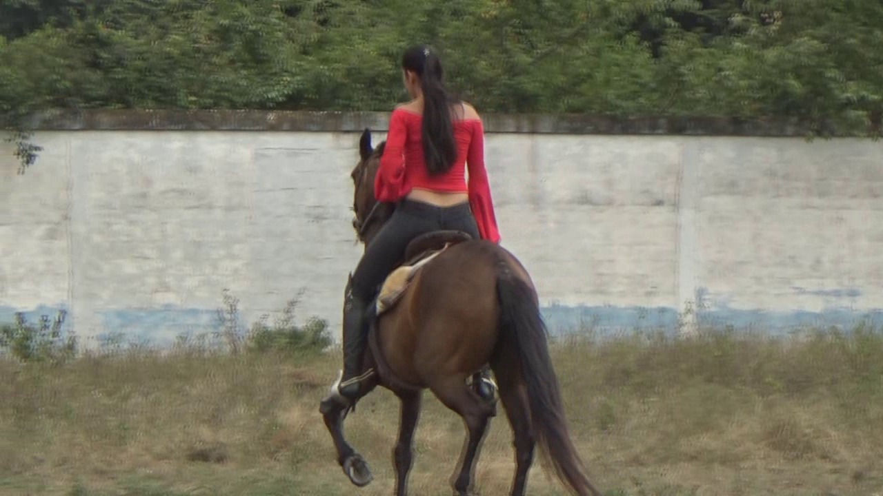HCL39751_VictoriaStingersWStrokes4ElCicatrizado.wmv_random_01.jpg