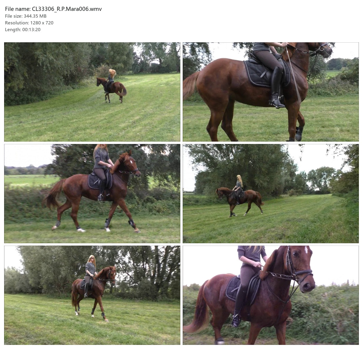 CL33306_R.P.Mara006.wmv_2x3.jpg
