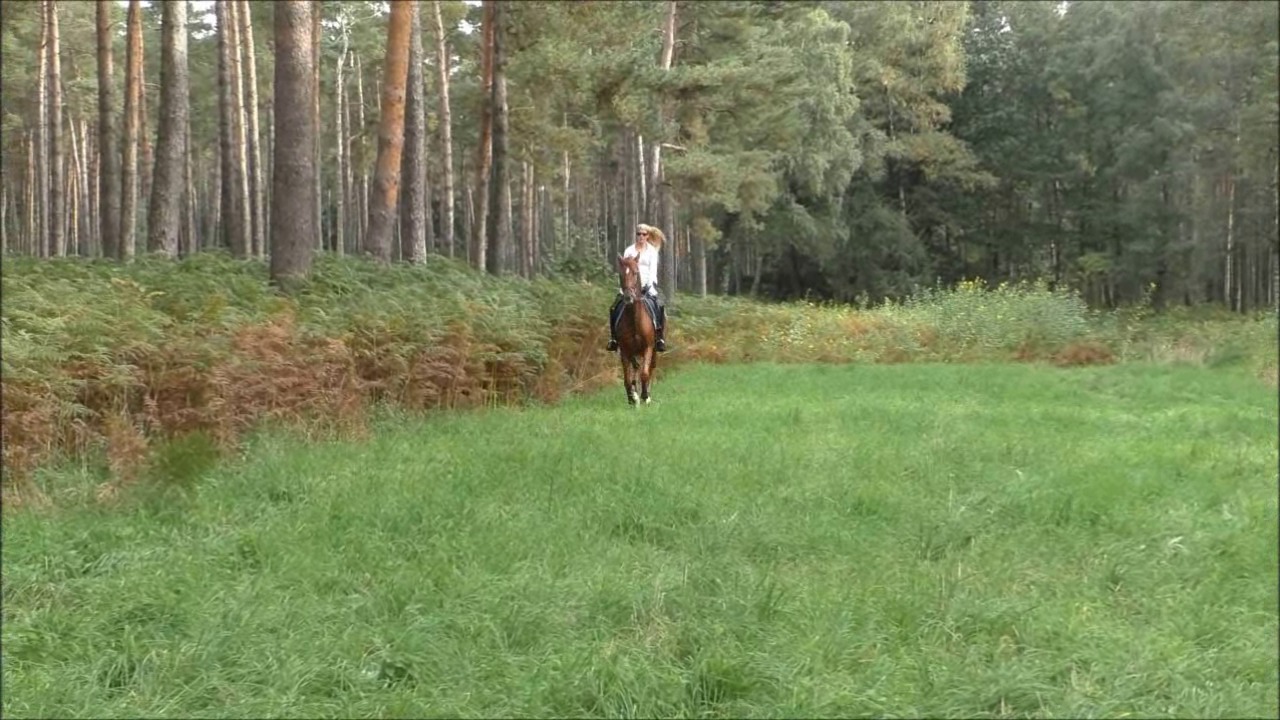 CL33306_R.P.Mara009.mp4_random_01.jpg