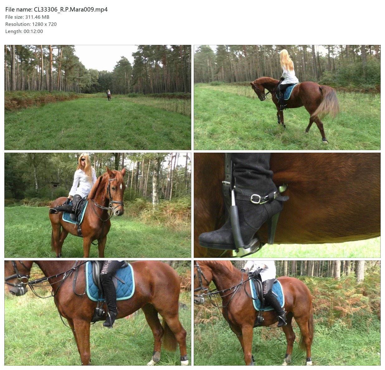 CL33306_R.P.Mara009.mp4_2x3.jpg