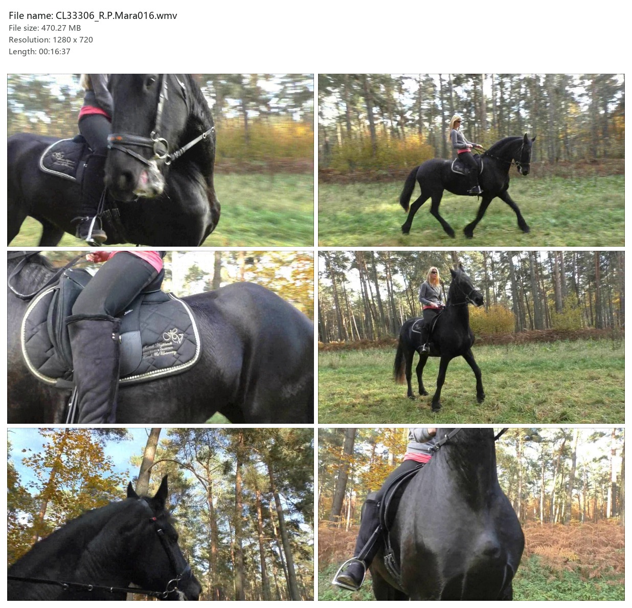 CL33306_R.P.Mara016.wmv_2x3.jpg
