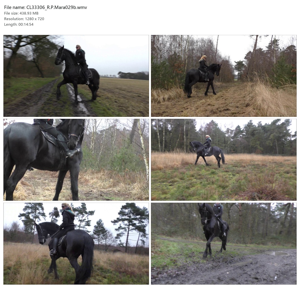 CL33306_R.P.Mara029b.wmv_2x3.jpg