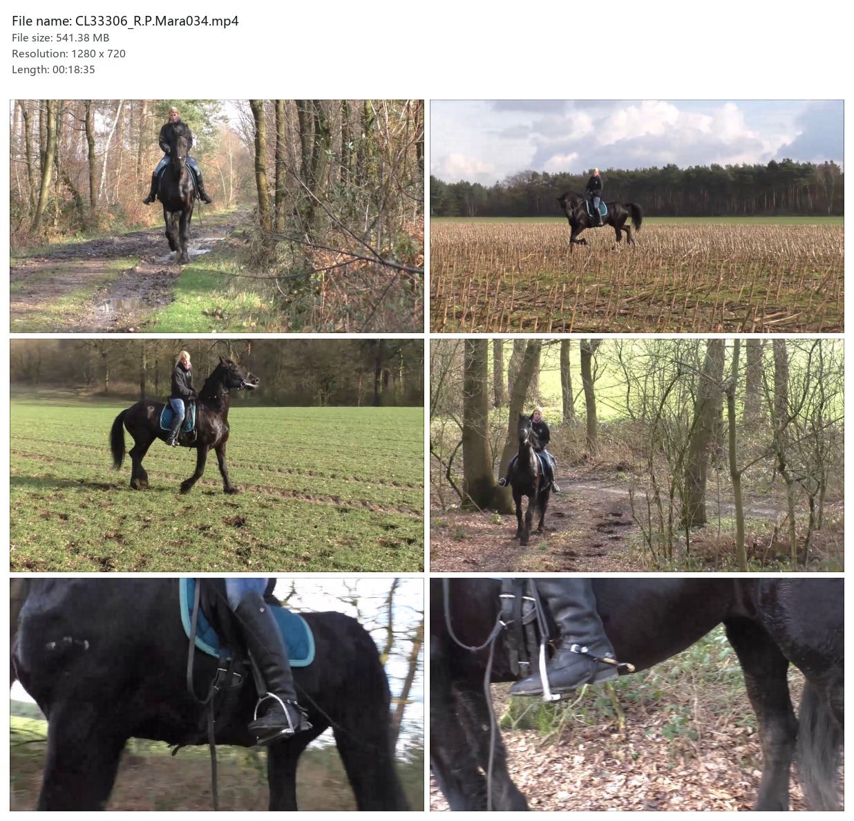 CL33306_R.P.Mara034.mp4_2x3.jpg