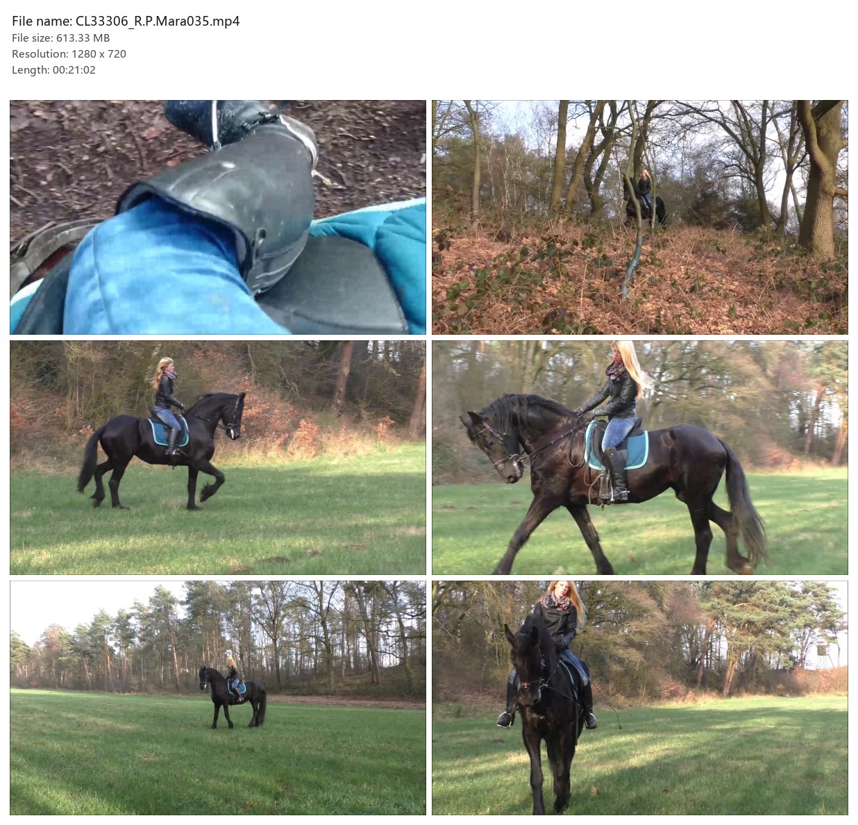 CL33306_R.P.Mara035.mp4_2x3.jpg