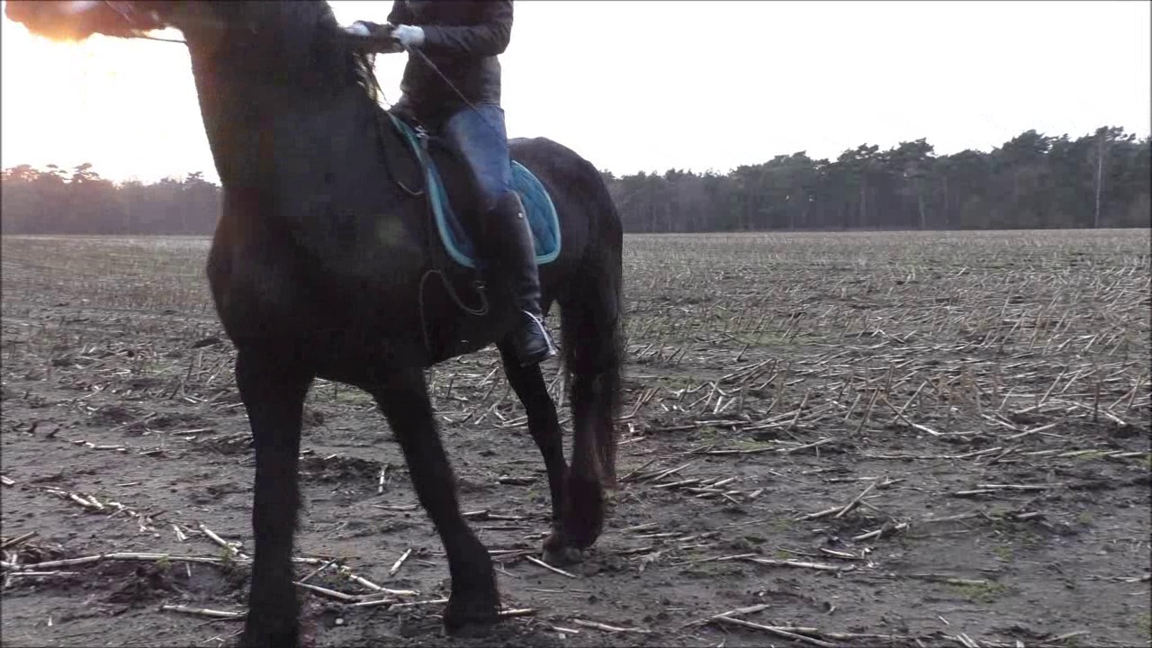 CL33306_R.P.Mara037.wmv_random_01.jpg