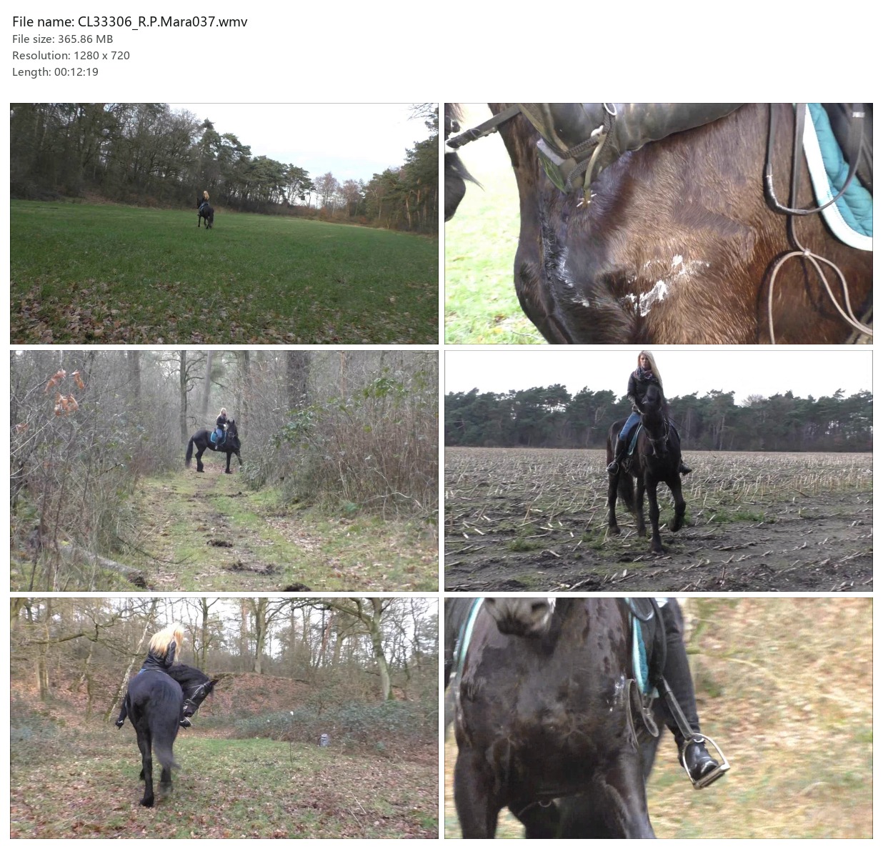 CL33306_R.P.Mara037.wmv_2x3.jpg