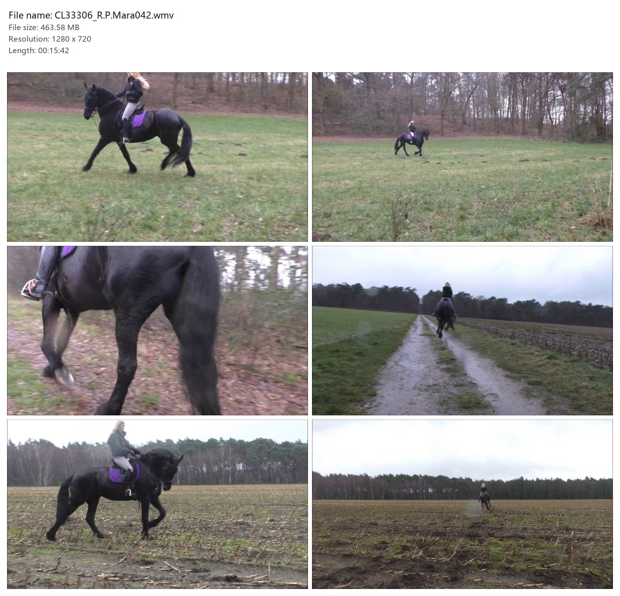 CL33306_R.P.Mara042.wmv_2x3.jpg
