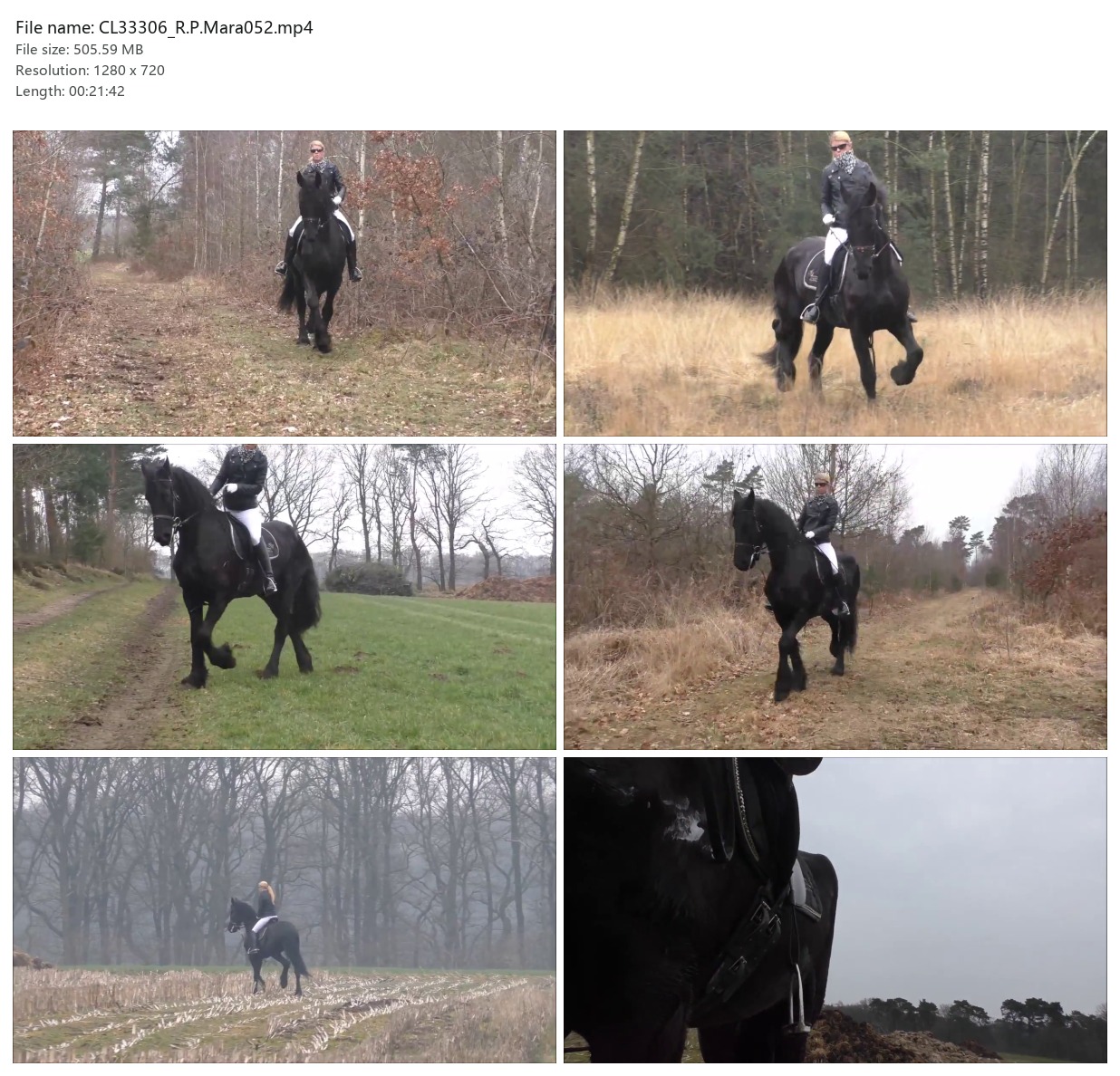 CL33306_R.P.Mara052.mp4_2x3.jpg