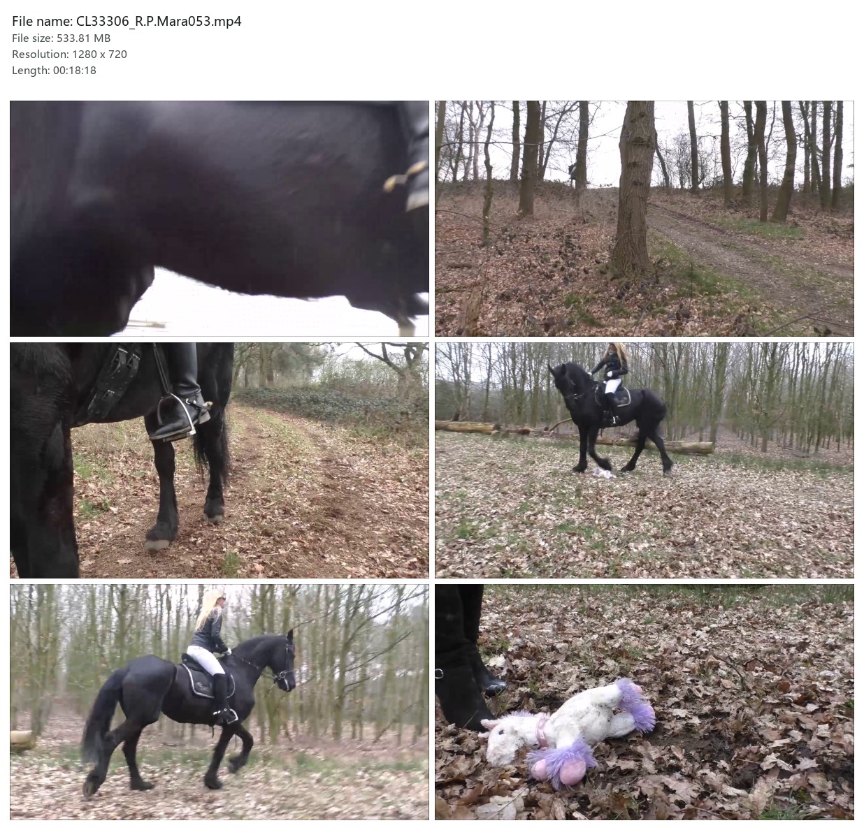 CL33306_R.P.Mara053.mp4_2x3.jpg