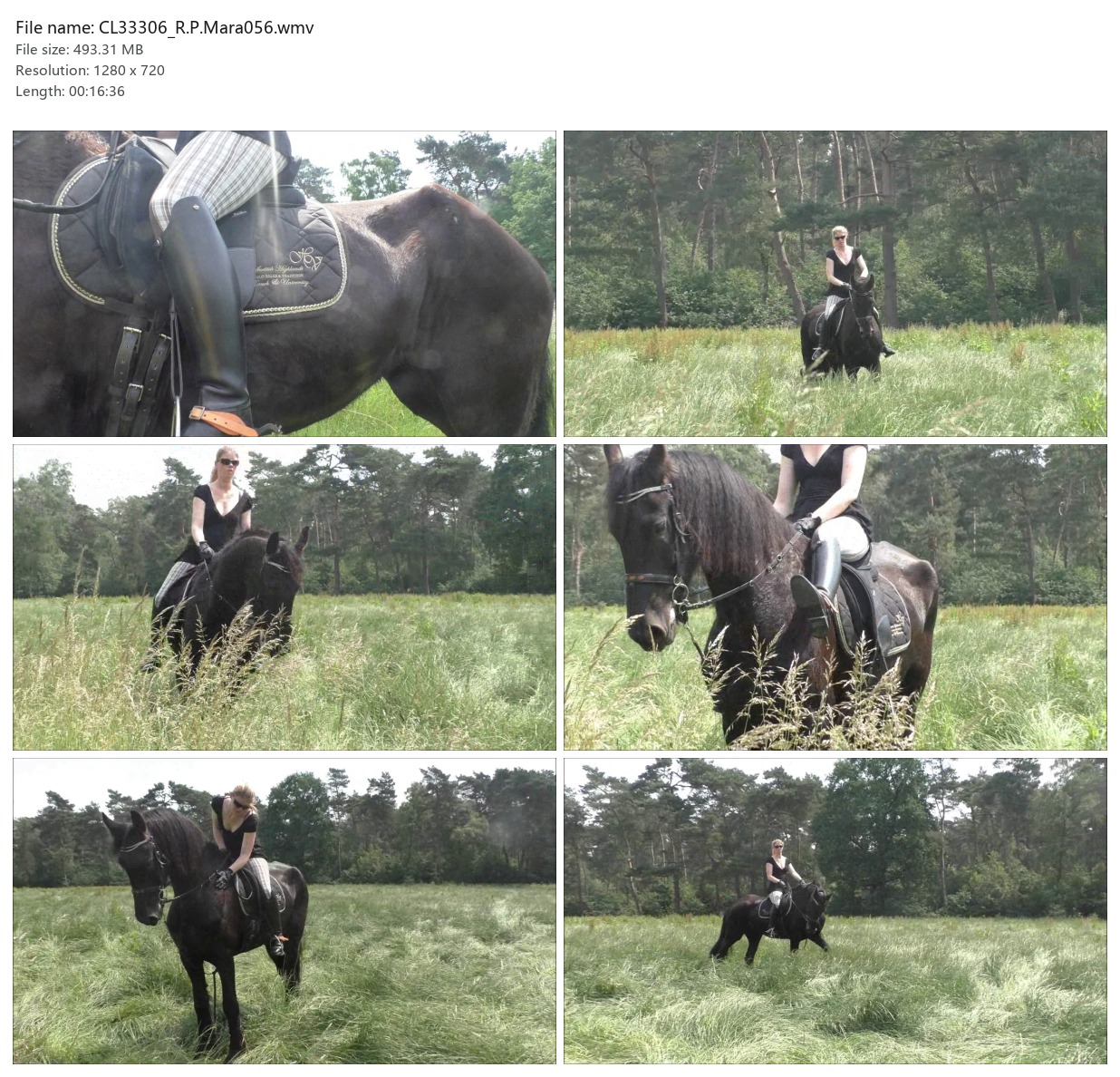 CL33306_R.P.Mara056.wmv_2x3.jpg