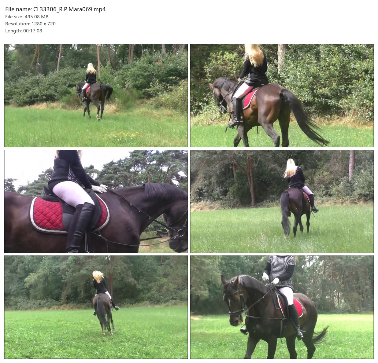 CL33306_R.P.Mara069.mp4_2x3.jpg