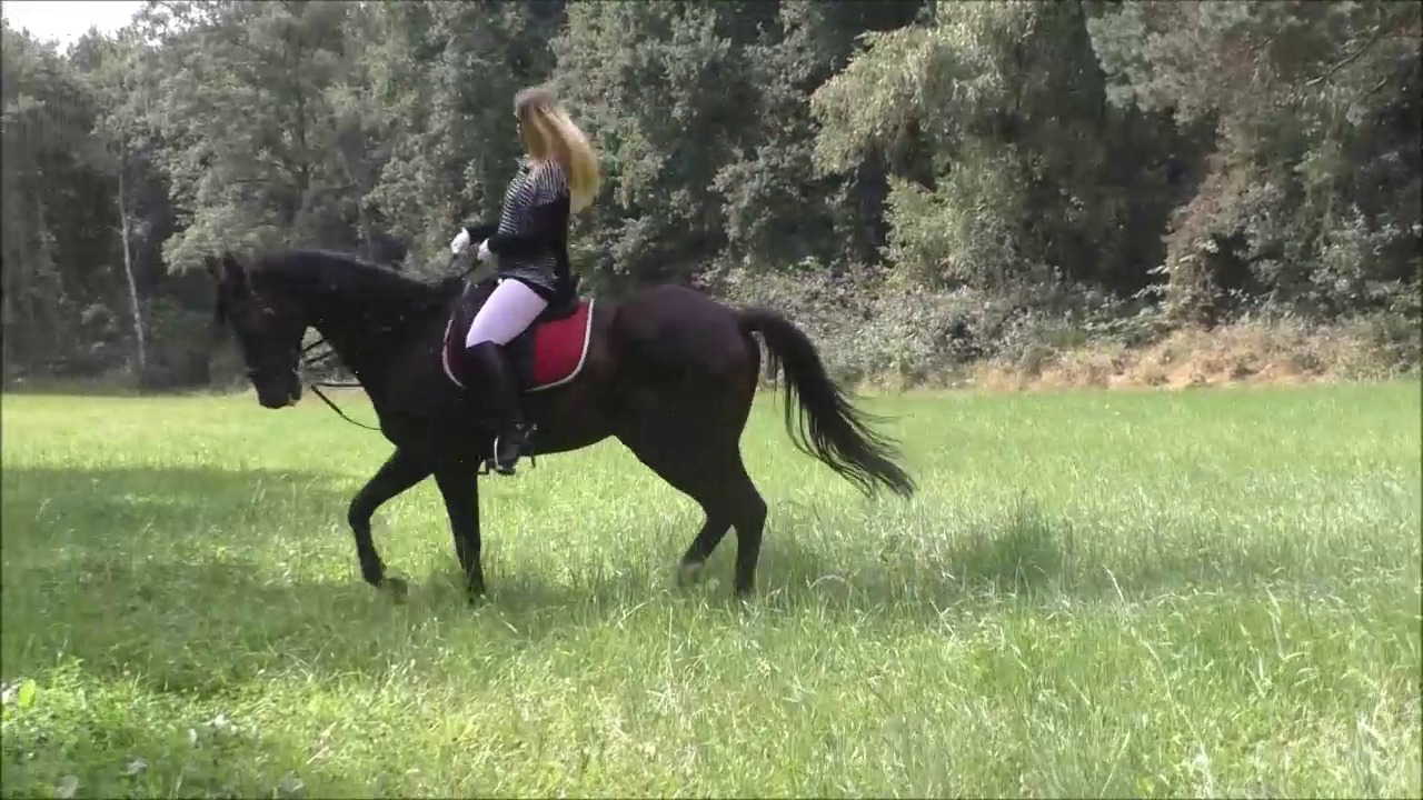 CL33306_R.P.Mara069.mp4_random_01.jpg
