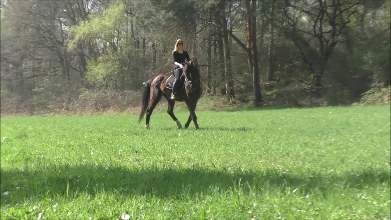 CL33306_R.P.Mara080.mp4_random_01.jpg