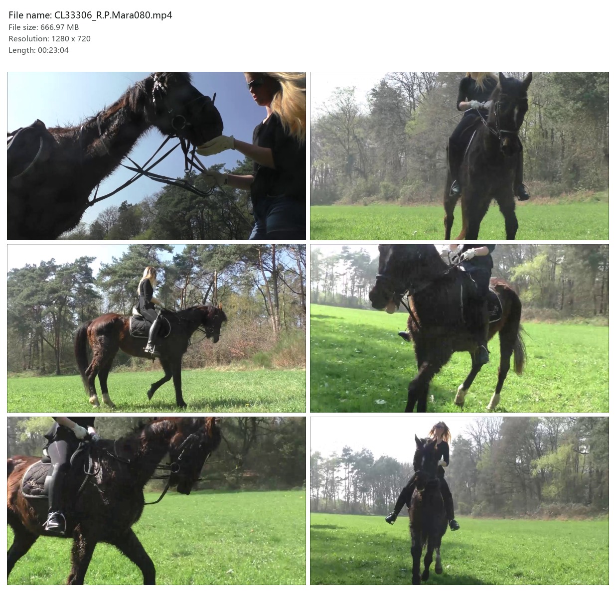 CL33306_R.P.Mara080.mp4_2x3.jpg