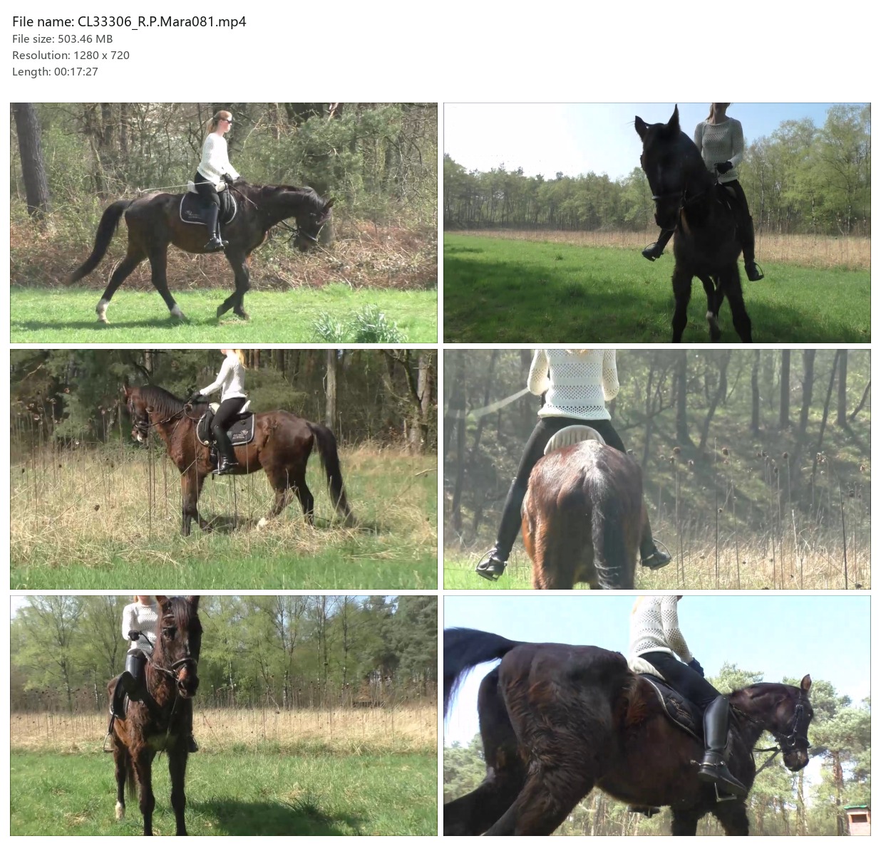 CL33306_R.P.Mara081.mp4_2x3.jpg