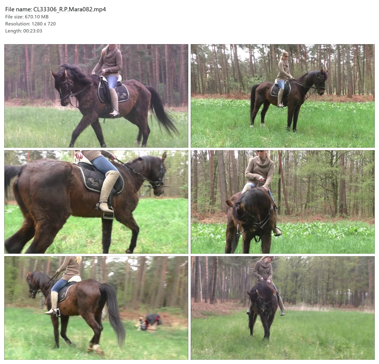 CL33306_R.P.Mara082.mp4_2x3.jpg