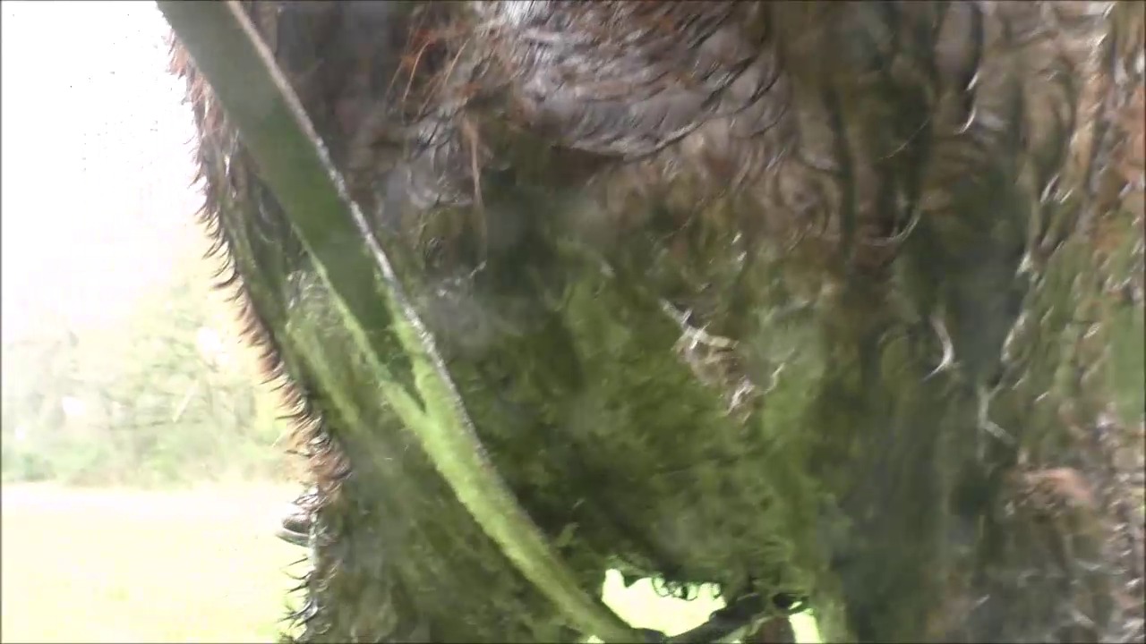 CL33306_R.P.Mara085b.mp4_random_01.jpg