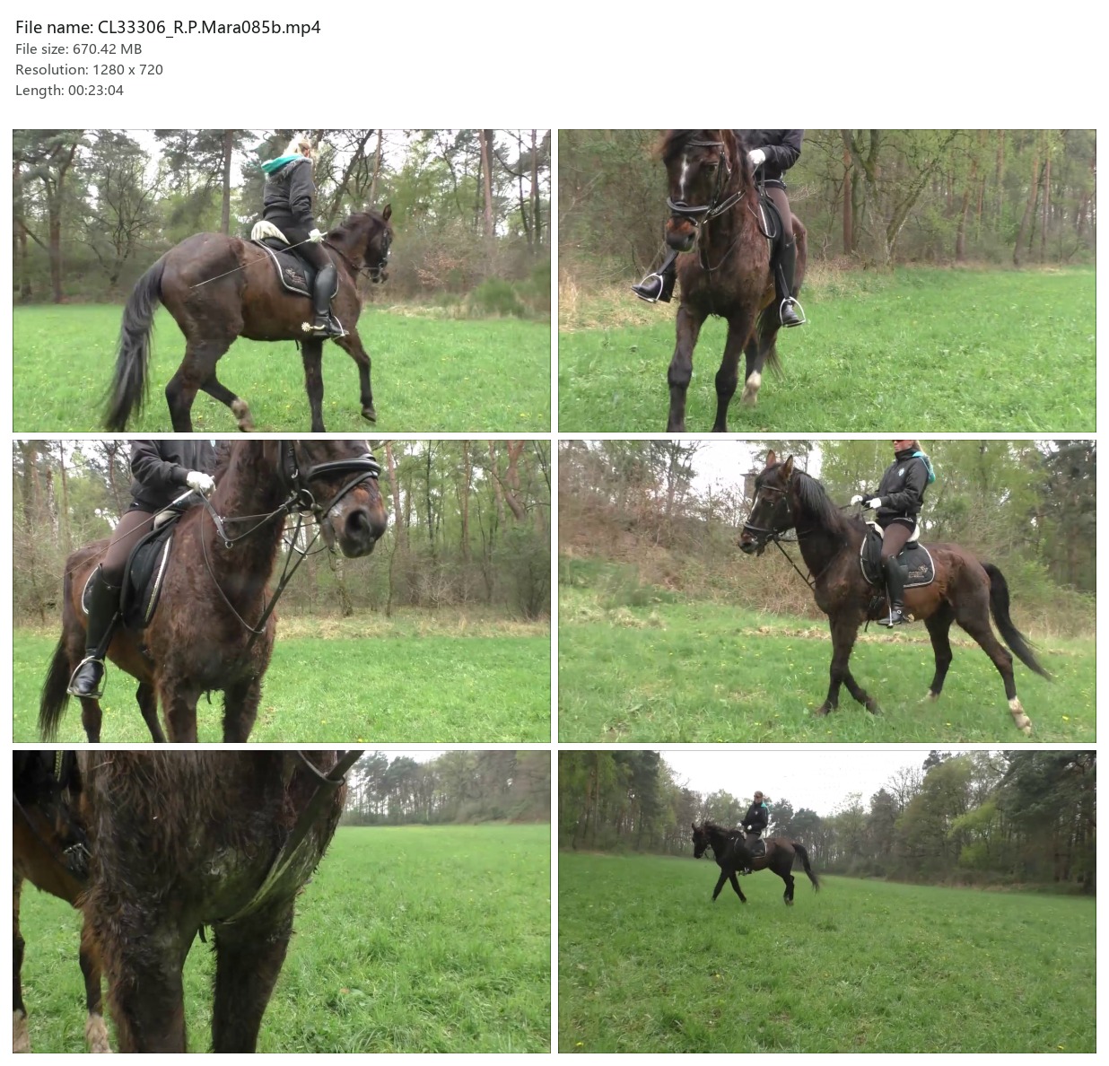 CL33306_R.P.Mara085b.mp4_2x3.jpg
