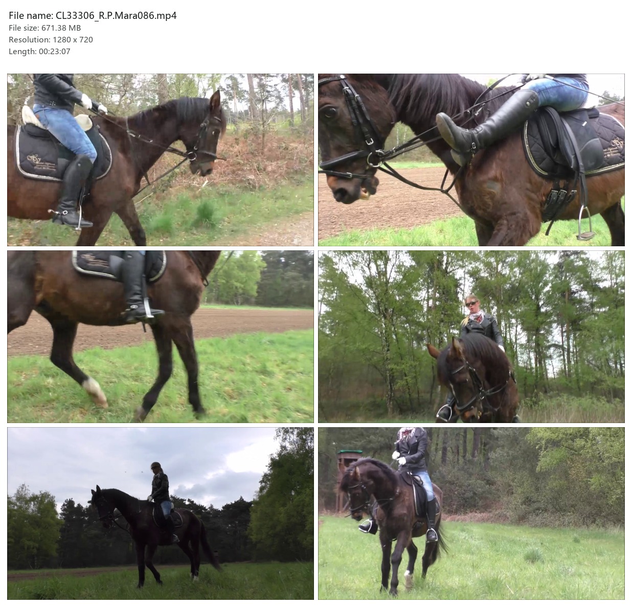 CL33306_R.P.Mara086.mp4_2x3.jpg