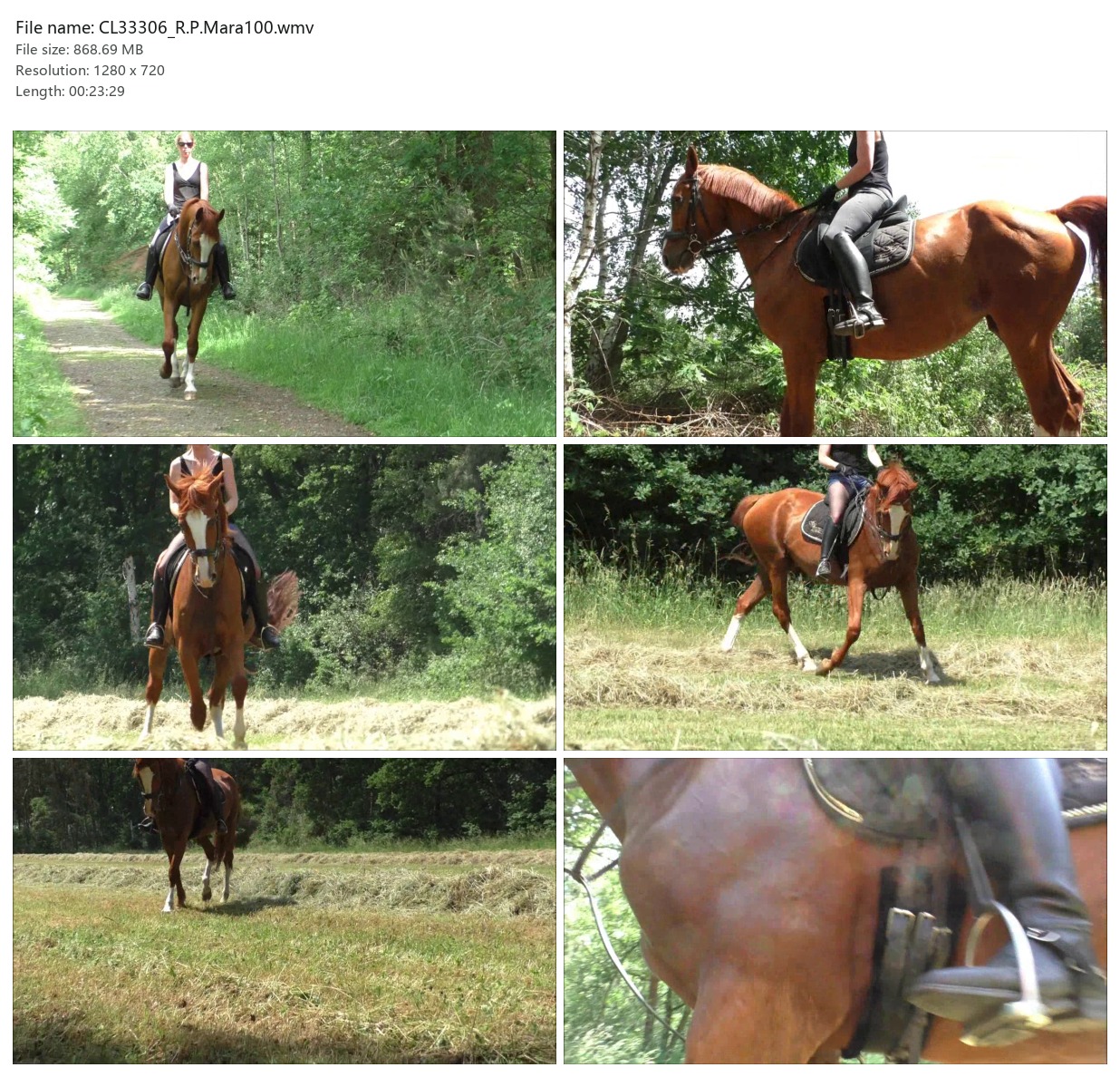 CL33306_R.P.Mara100.wmv_2x3.jpg