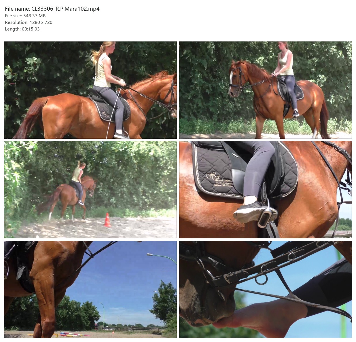 CL33306_R.P.Mara102.mp4_2x3.jpg
