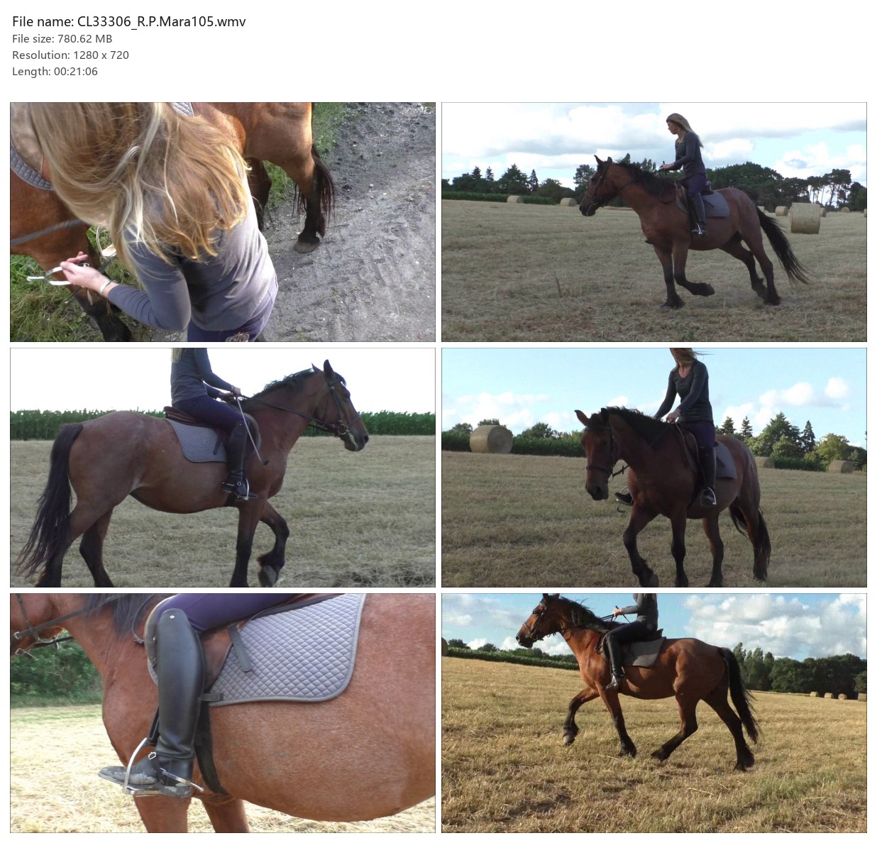 CL33306_R.P.Mara105.wmv_2x3.jpg