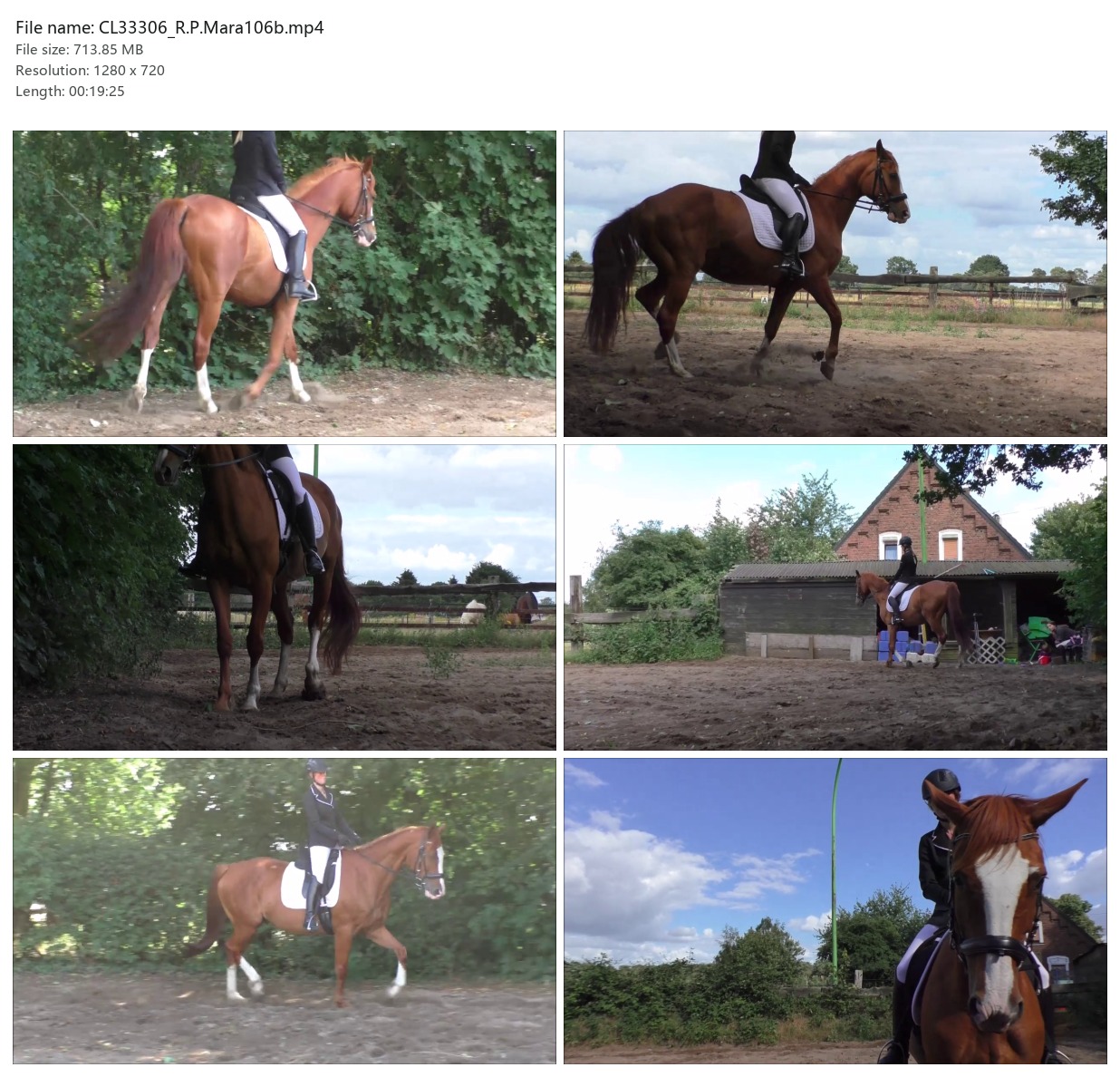 CL33306_R.P.Mara106b.mp4_2x3.jpg