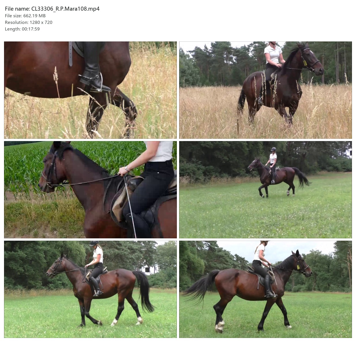CL33306_R.P.Mara108.mp4_2x3.jpg