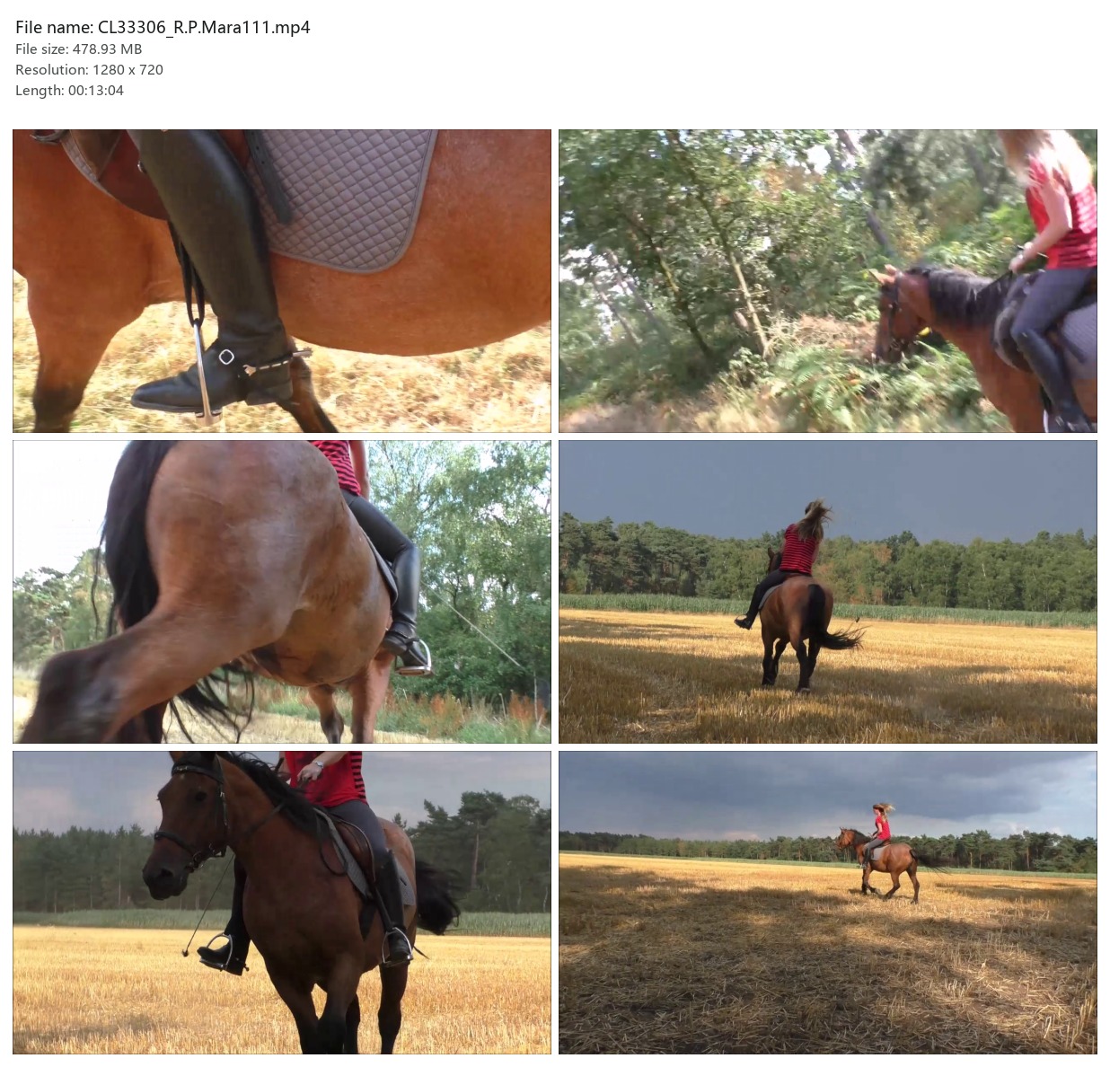 CL33306_R.P.Mara111.mp4_2x3.jpg