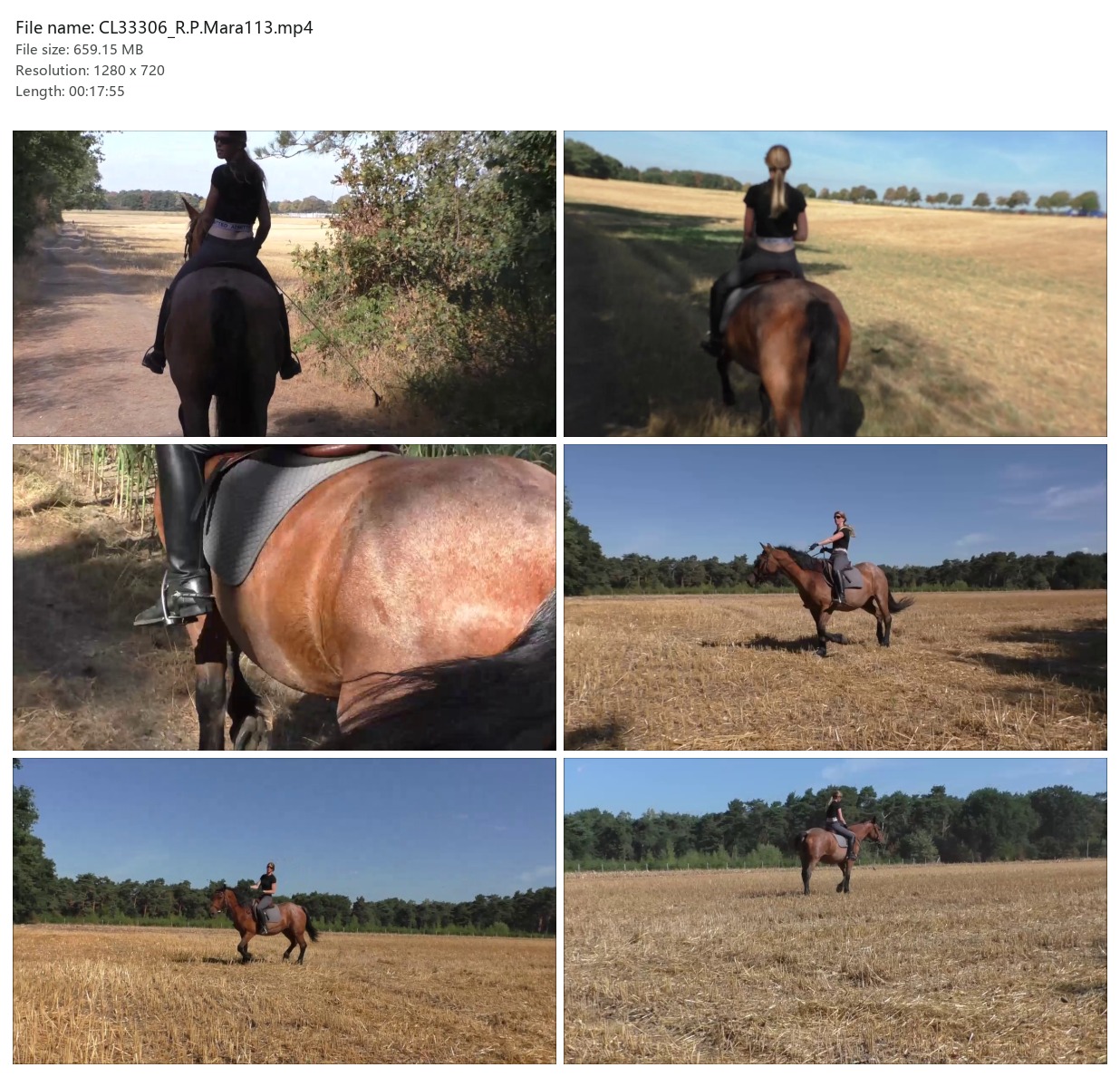 CL33306_R.P.Mara113.mp4_2x3.jpg