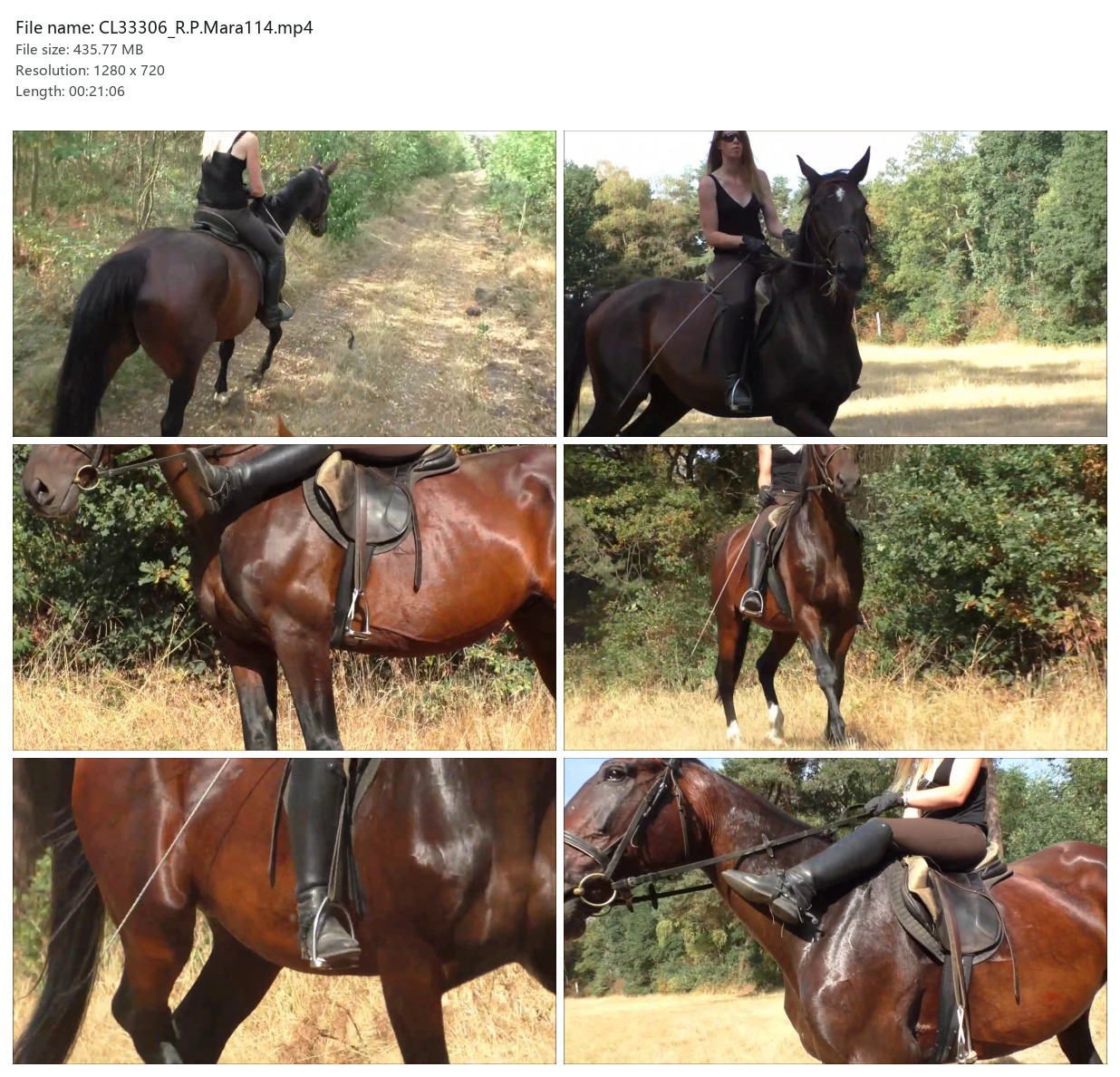 CL33306_R.P.Mara114.mp4_2x3.jpg