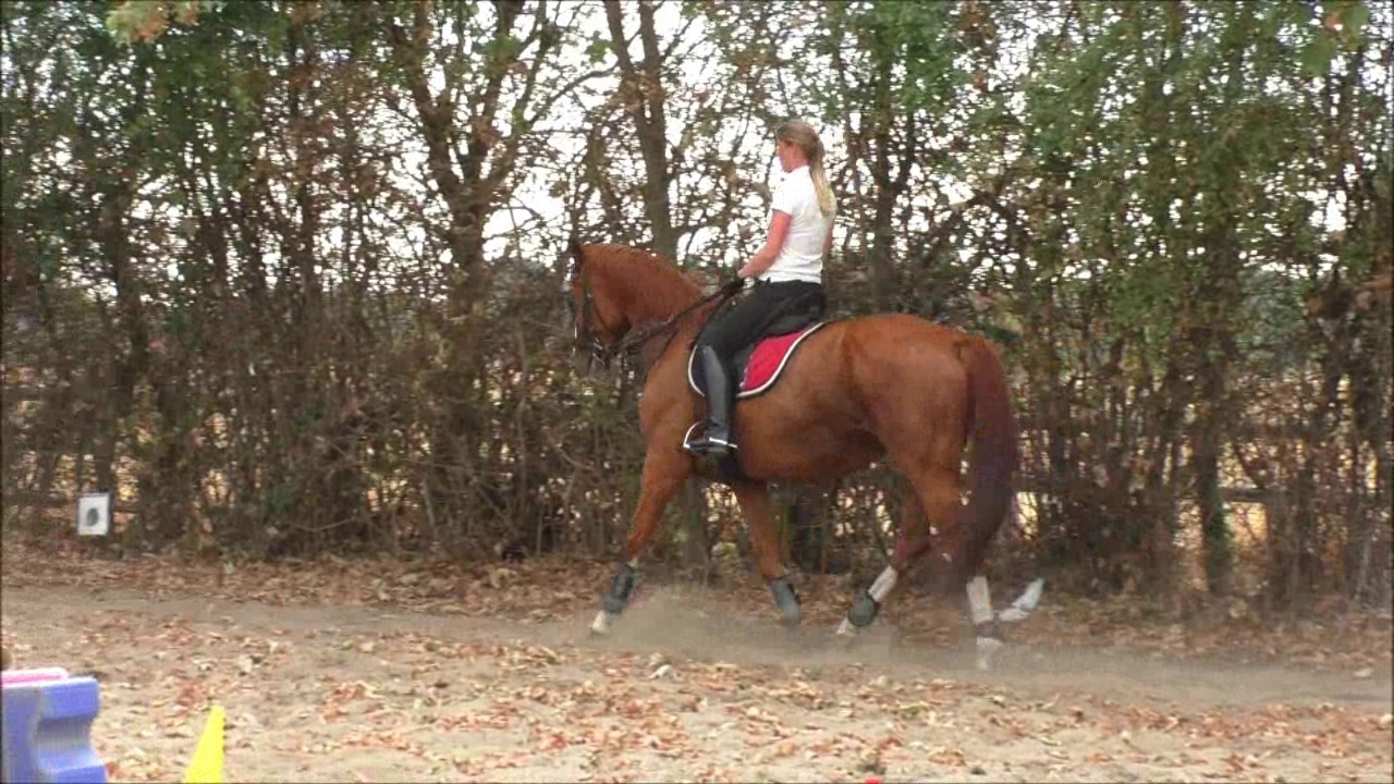 CL33306 R.P.Mara117.wmv