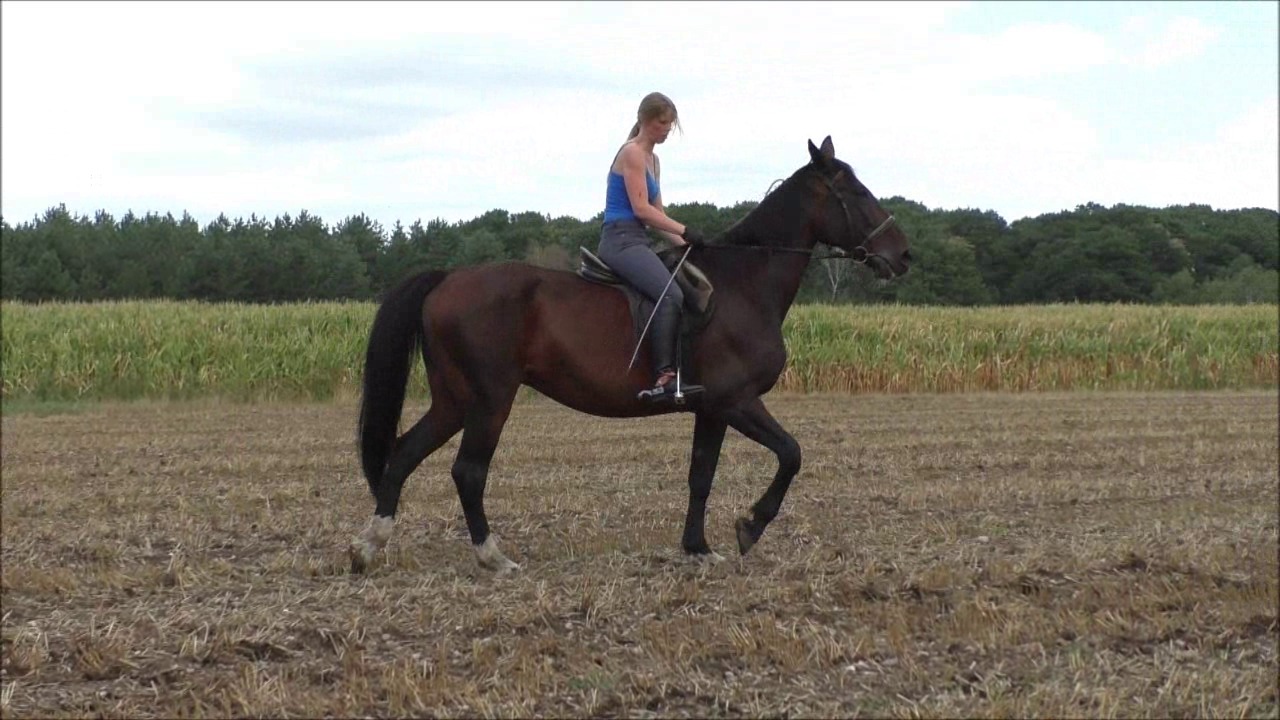 CL33306_R.P.Mara120.wmv_random_01.jpg