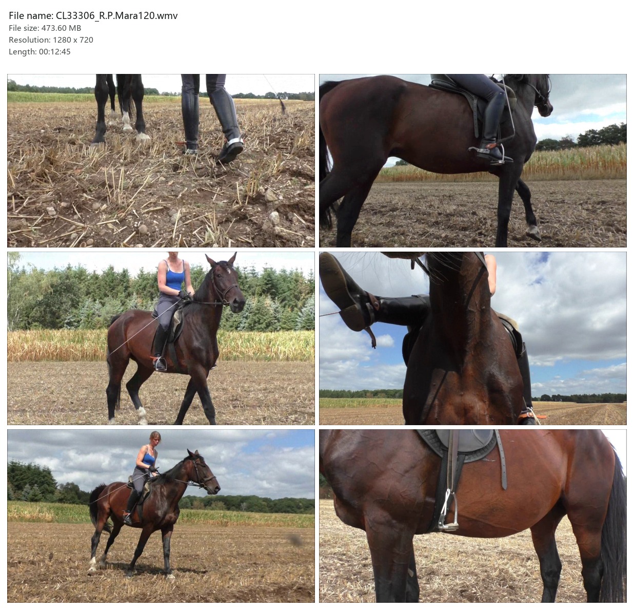 CL33306_R.P.Mara120.wmv_2x3.jpg